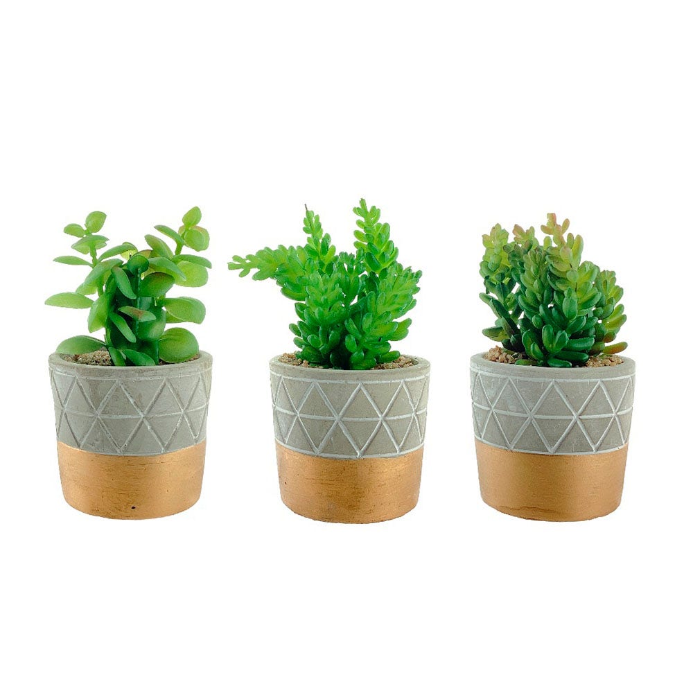DECORE PLANTA C/MACETERO 15CM 718-36612
