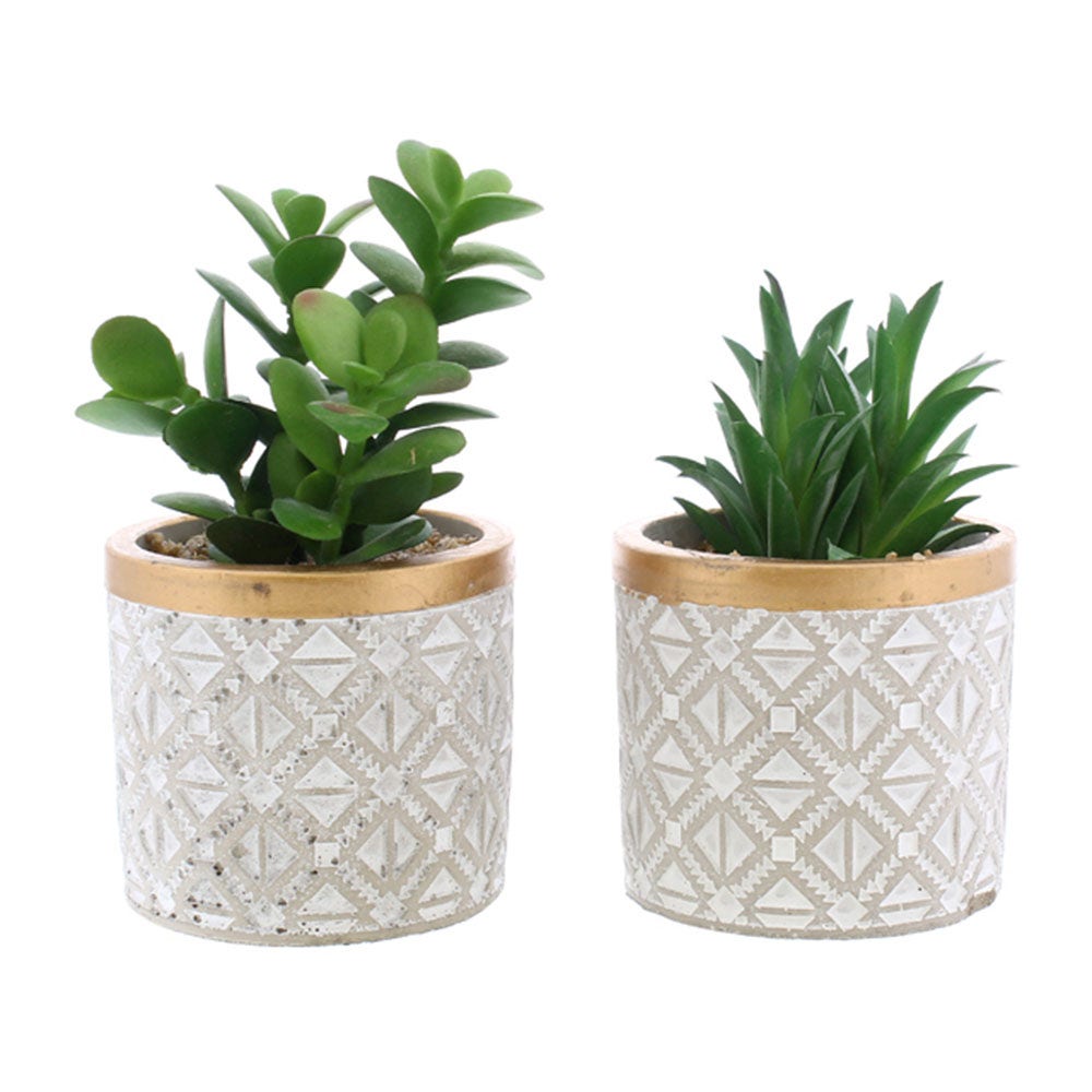 DECORE PLANTA C/MACETERO 15CM 718-36613