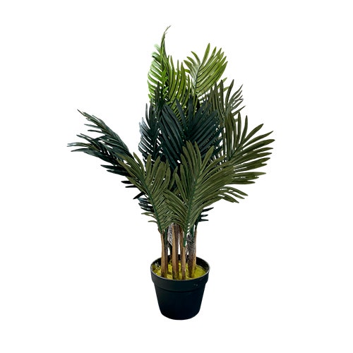 PALMERA ARECA 65X75X65CM VERDE 796-ASDEC300-048