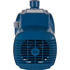 Pedrollo Electrobomba Centrífuga CPM 170 220V 1.5HP 11/4"X1" 160L/min