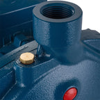 Pedrollo Electrobomba Centrífuga CPM 170 220V 1.5HP 11/4"X1" 160L/min