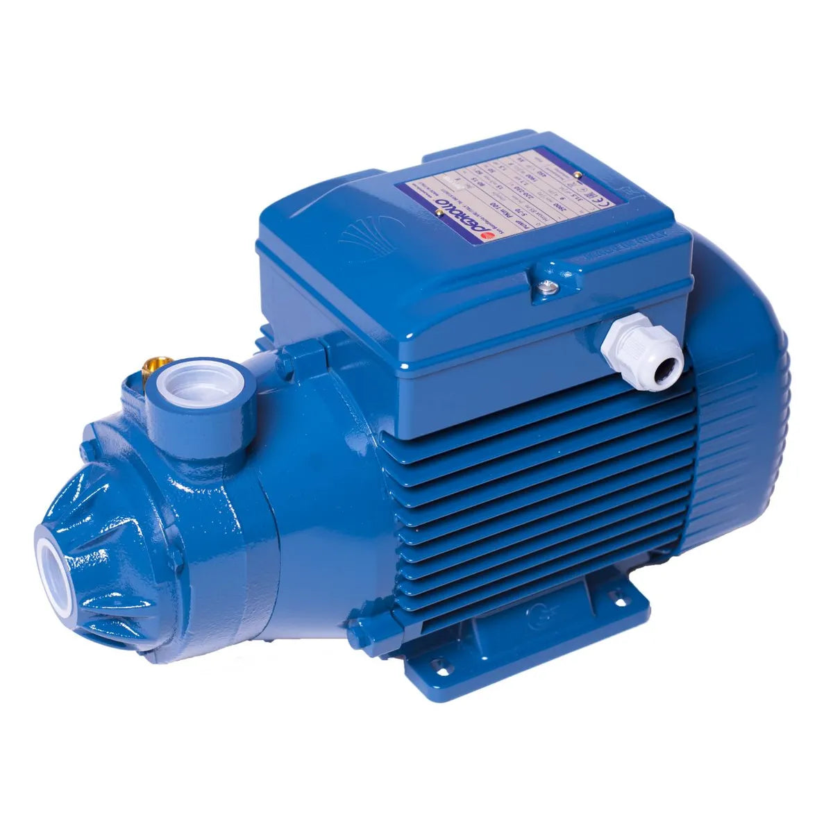 Pedrollo Electrobomba Periférica 1,5 Hp 70L/min PKM 100 1"X1"
