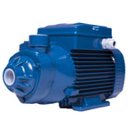 Pedrollo Electrobomba Periférica 1,5 Hp 70L/min PKM 100 1"X1"