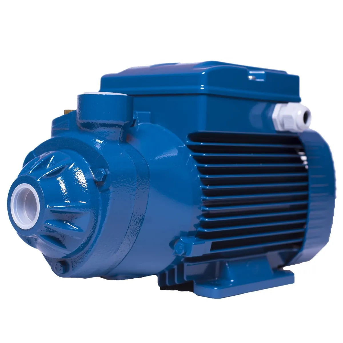 Pedrollo Electrobomba Periférica 1,5 Hp 70L/min PKM 100 1"X1"