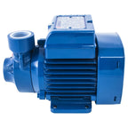 Pedrollo Electrobomba Periférica PKM 60 0.5Hp 1"