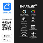 B&P PROYECTOR LED SMART 20W RGB WESTING