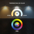 B&P PROYECTOR LED SMART 20W RGB WESTING