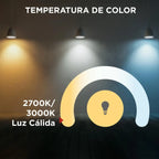 BYP AMPOLLETA LED FILAMENTO A60 6W E27