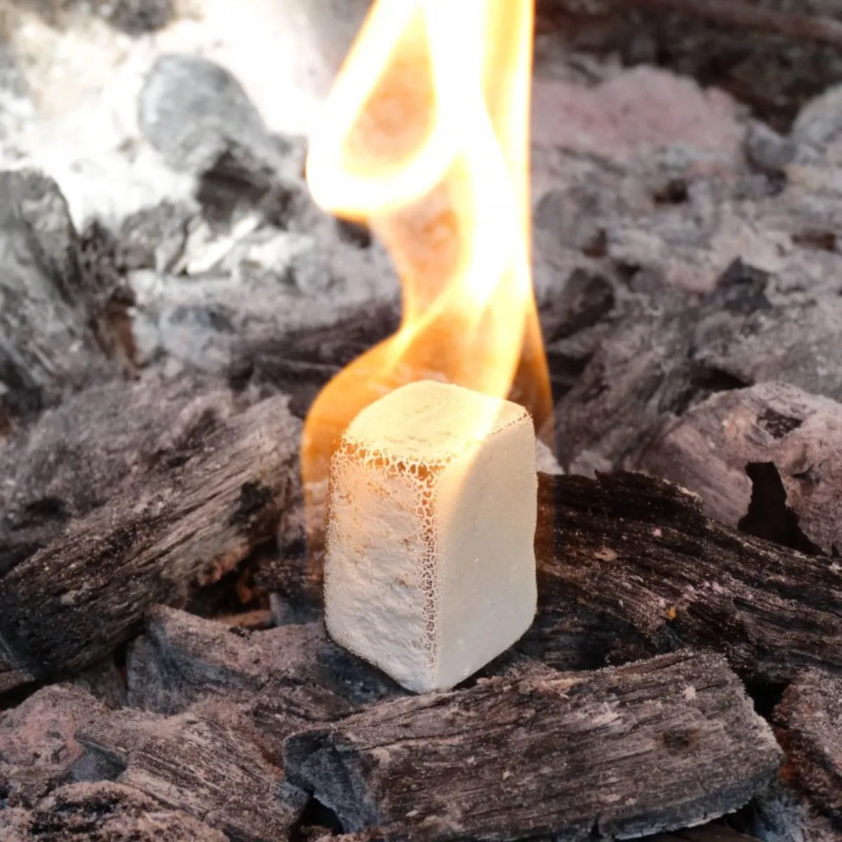 Pastillas de Encendido Rápido Flamax 24 Unidades