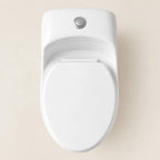 WC One Piece Mixa Castilla Elongado 30 cm con Asiento